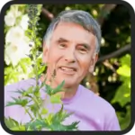 SenFlo Gummies Review 2